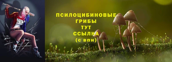 apvp Аркадак