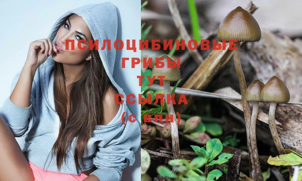 MDMA Арсеньев